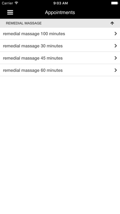 Mayo Fix Massage Therapy screenshot 3
