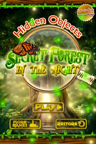 Hidden Objects - Secret Forest in the Night screenshot 2