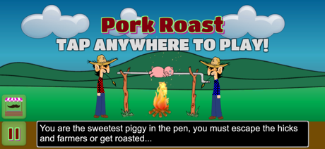 Tips and Tricks for Pork Roast