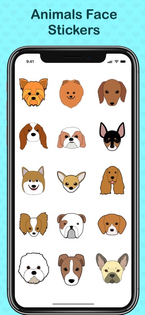 Cute Animal Faces(圖2)-速報App