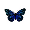 My Butterfly Sticker Pack