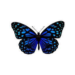 My Butterfly Sticker Pack