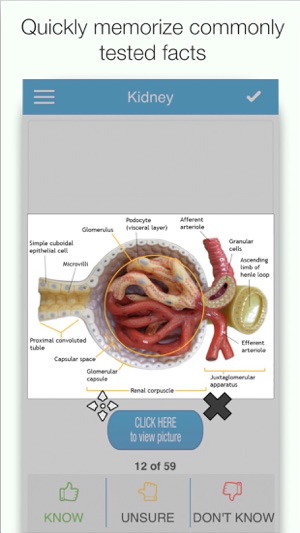 NBDE Biochem/Physio Cram Cards(圖1)-速報App