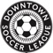 This App connects to the data on the main Downtown Soccer League web site making it easy for coaches and other volunteers to receive and send messages, review team and scheduling information