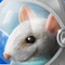 ** My second grader (who is an advanced learner) has been glued to this app