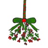 Mistletoe Camera