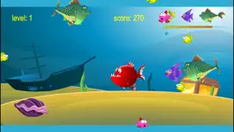 Game screenshot Sea Evolution - Shark Survival apk