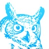 Blue Owl - Trading Wisdom