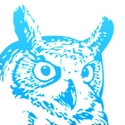 Blue Owl - Trading Wisdom