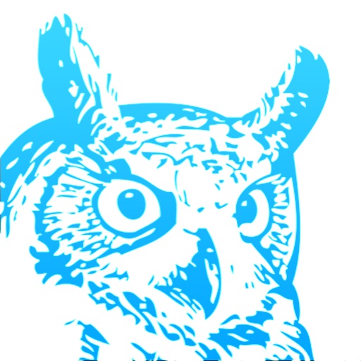 Blue Owl - Trading Wisdom