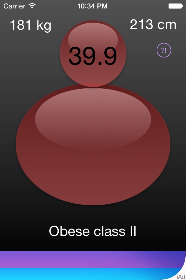 Simple BMI Calculator screenshot 2