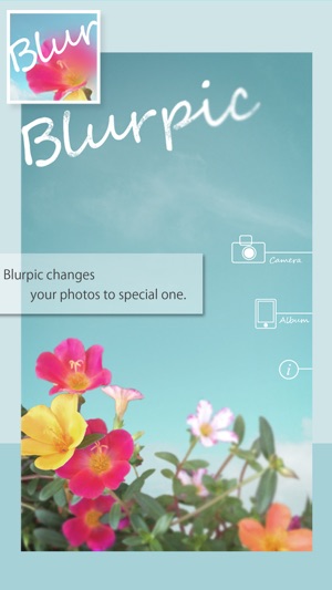 Blurpic - for your memory -