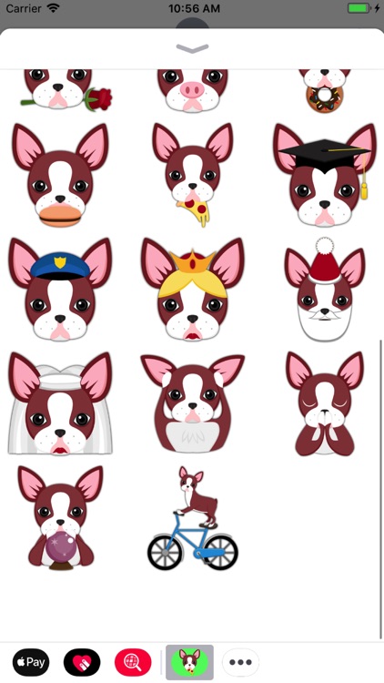 Animated Red Boston Terrier