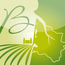 SIG du Vin de Bordeaux