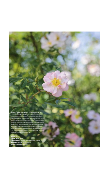 Gardens Illustrated