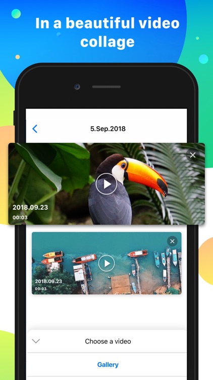Video Everyday - Life Diary