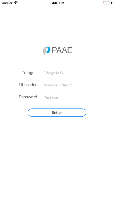 PAAE screenshot 2