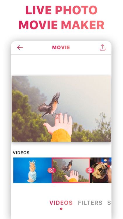 Motion Photo to Live Video Gif