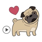 Pug Love Animated Dog Stickers