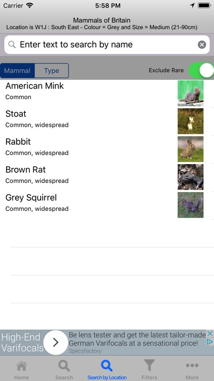 Mammals Of Britain