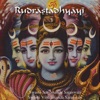Rudrastadhyayi