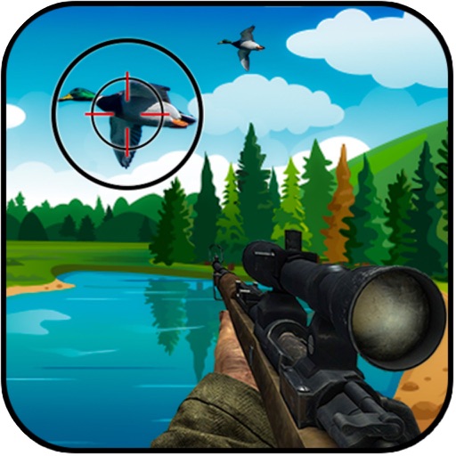 Shot Bird Hunting Experiennce Icon