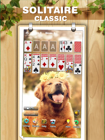 Solitaire Classic ◆ Card Game screenshot 4