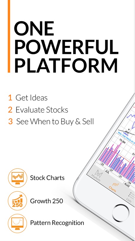 Marketsmith Charts