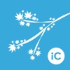 Icon iC Brushes - ABR Importer
