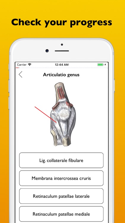 Atrhrology atlas app
