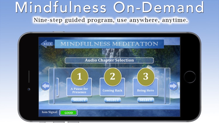 Mindfulness Meditation with Tara Brach, Phd.