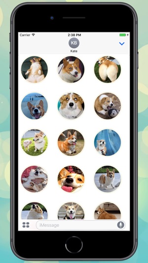 Fluffy Corgi! Stickers(圖1)-速報App