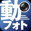 動フォト