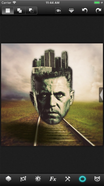 Leonardo - Photo Layer Editor screenshot-7