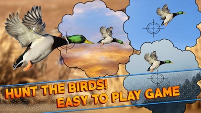 Duck Turkey Hunting Simulation screenshot 2