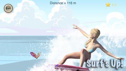 Pocket Surfer screenshot 1