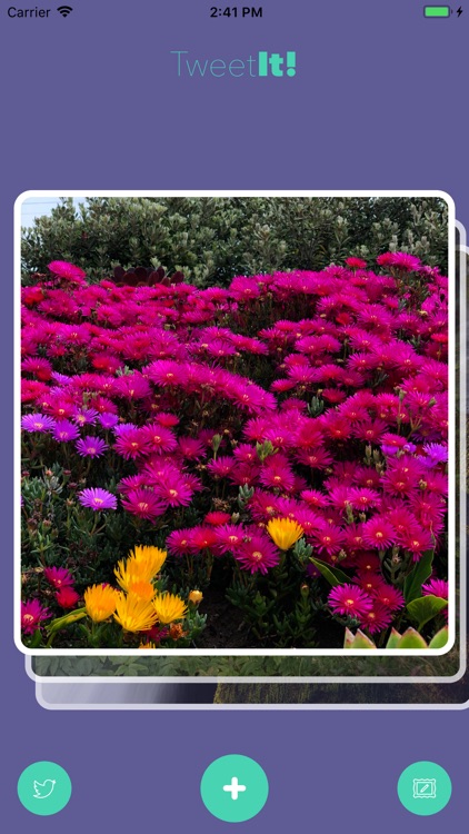 TweetIt-Photo Filters