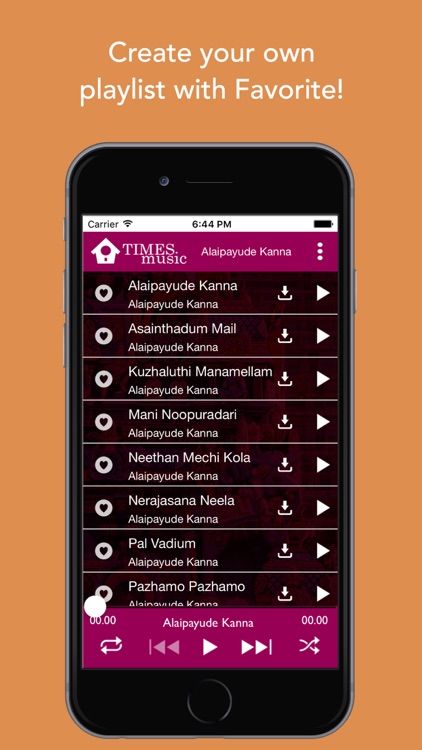 Tamil Bhakti Instrumental