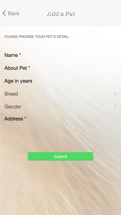 Pet Pipers screenshot 2