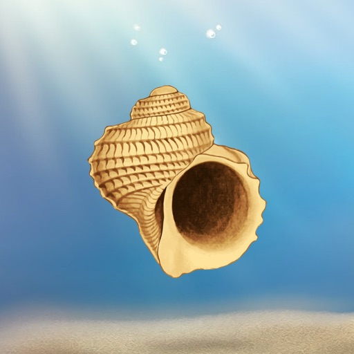 Sea Shells Stickers icon