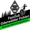 Dies ist die offizielle Fanclub App der Odenwaelder-Fohlen