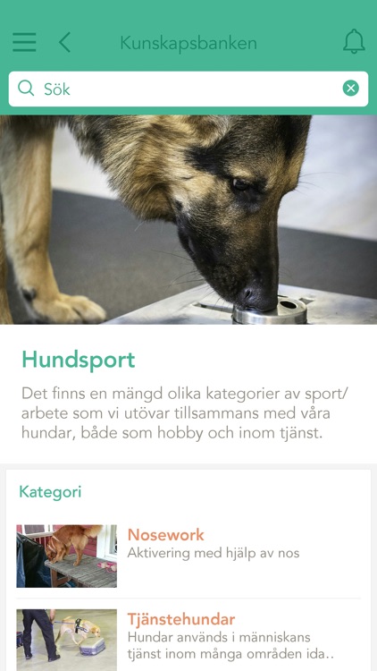 Canine of Sweden screenshot-3