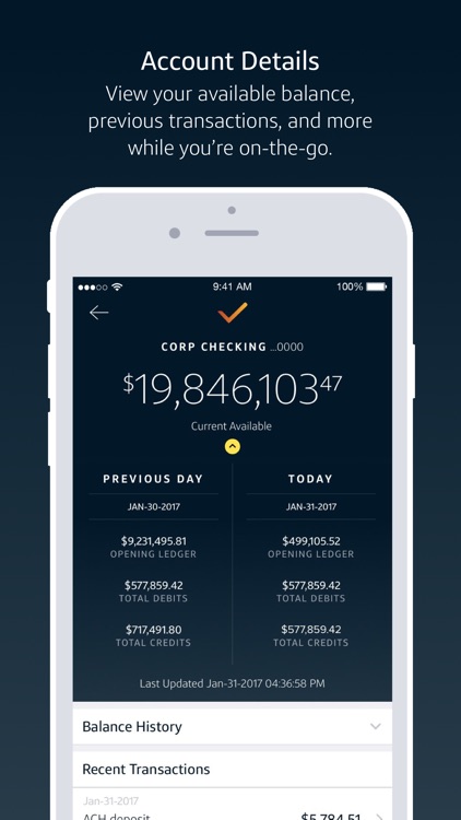 Capital One Intellix® Mobile