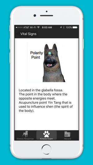 Canine KinesioResponse(圖3)-速報App