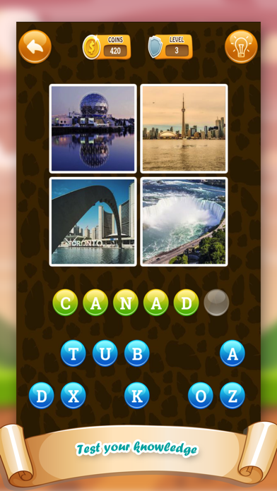 Guess The Country From 4 pics screenshot 2