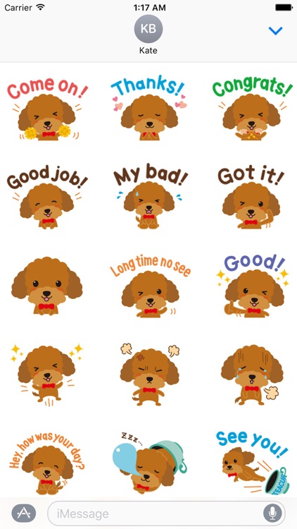 Cute Teacup Poodle Dog Sticker