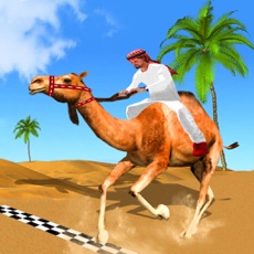 Activities of Desert King Camel Race