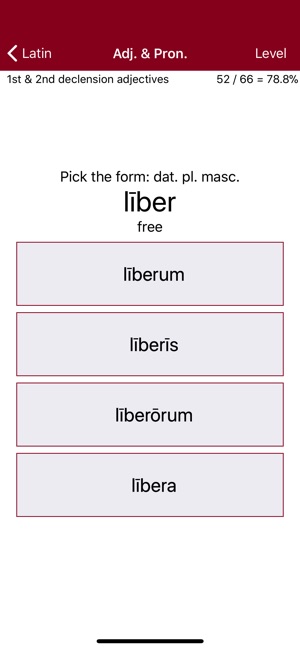 Latin Adjectives Chart