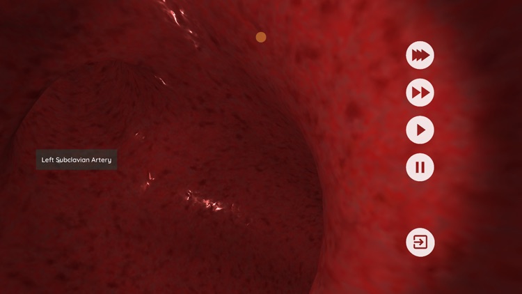 Anatomyou VR