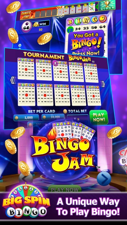 Big Spin Bingo|Best Bingo Game screenshot-8